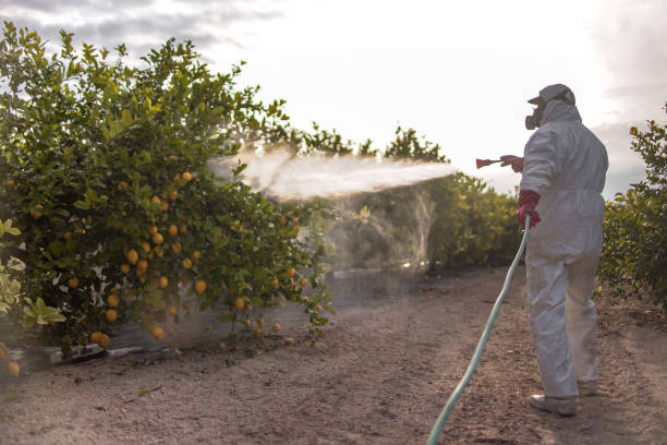 Best Best Pest Control Companies  in Tarrytown, NY