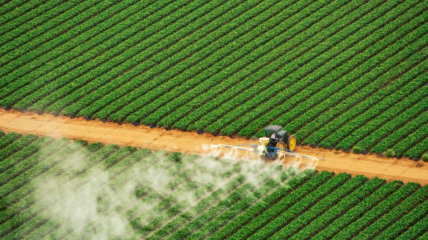 Best Mosquito Control Services  in Tarrytown, NY